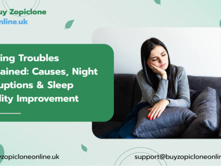 Resting Troubles Explained: Causes, Night Disruptions & Sleep Quality Improvement