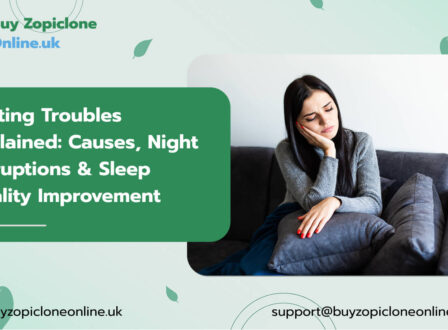 Resting Troubles Explained: Causes, Night Disruptions & Sleep Quality Improvement
