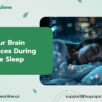 Zopiclone Sleep